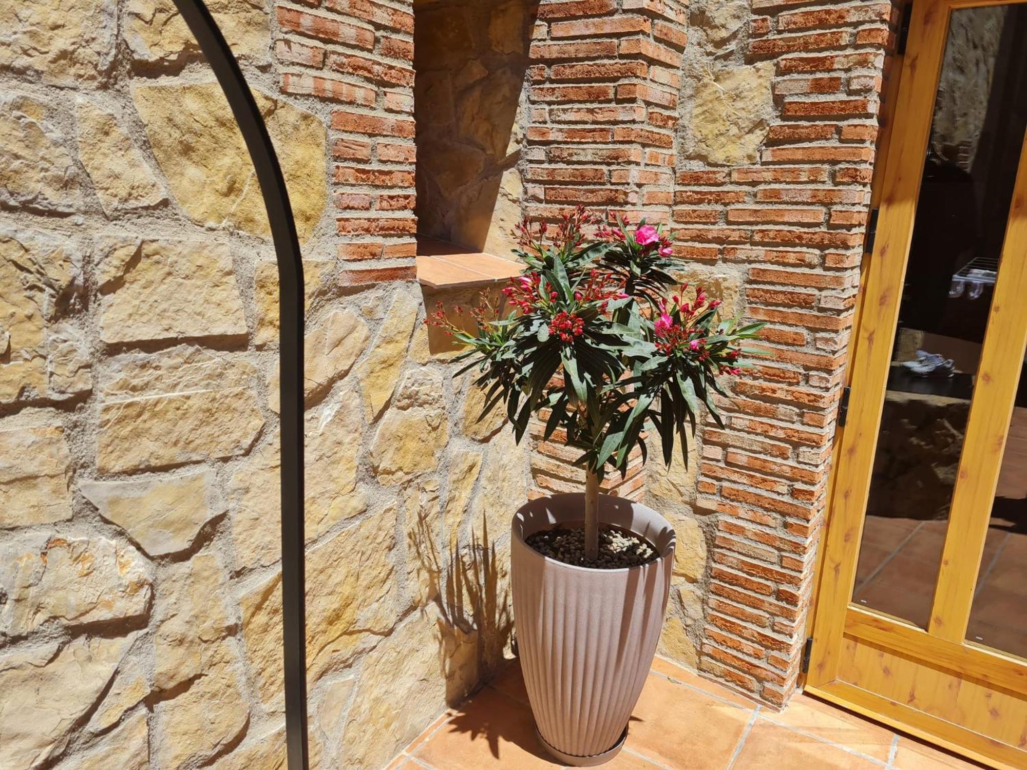 Buenache de Alarcon Casa Rural Del Pantano 4 Estrellas מראה חיצוני תמונה